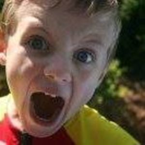 Meet your Posher, Shelley